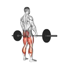 Week 4 exercise 2