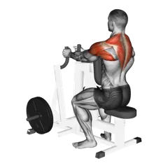Week 1 exercise 2