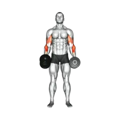Week 1 exercise 1