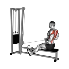 Week 3 exercise 2