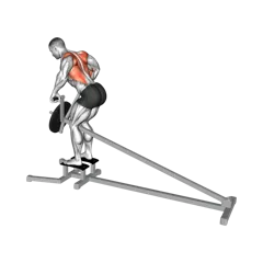 Week 2 exercise 2