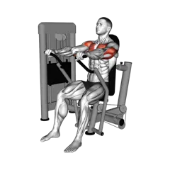 Week 5 exercise 2