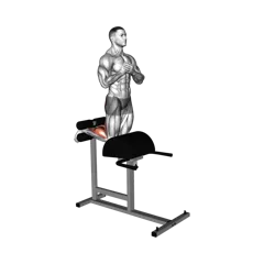 Week 1 exercise 2