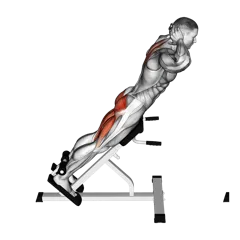 Week 3 exercise 1