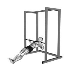 Week 1 exercise 2