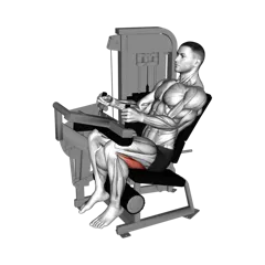 Week 2 exercise 3