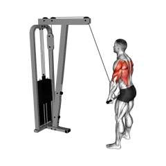 Week 1 exercise 5