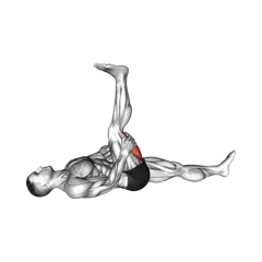 Week 1 exercise 1