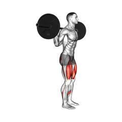 Week 2 exercise 3