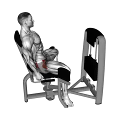 Week 4 exercise 6