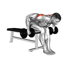 Week 2 exercise 1