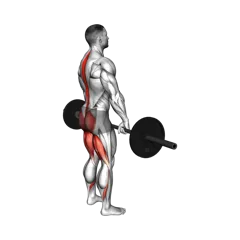 Week 1 exercise 1