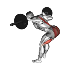 Week 2 exercise 1