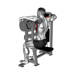 Week 4 exercise 1