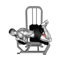 Week 2 exercise 2