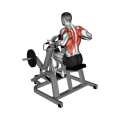 Week 4 exercise 3