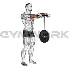 Wrist Roller