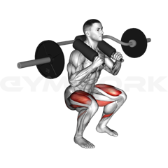 SSB Squat