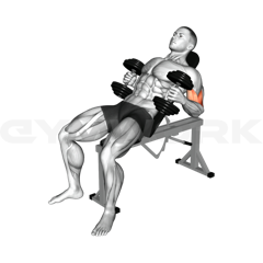 Incline Hammer Curl