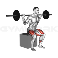 Box Squat