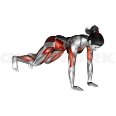Burpee Test