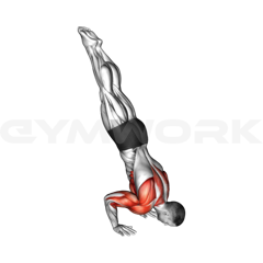 Handstand Push-Up