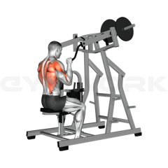 Lat Pulldown Machine