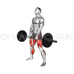Sumo Deadlift