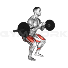 Zercher squat