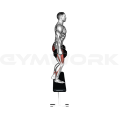 Dumbbell Step-Up