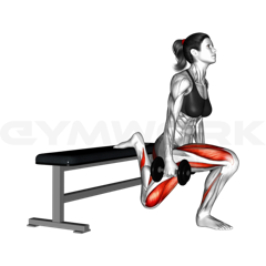 Split Squat