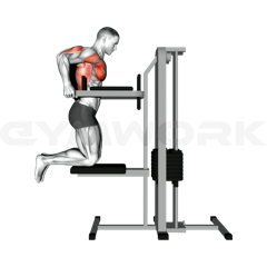 Assisted Dips