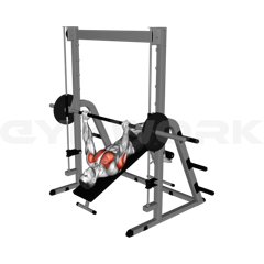 Smith Decline Bench Press