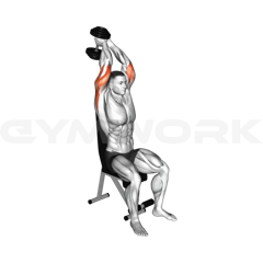 Dumbbell Overhead Triceps Extension