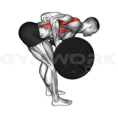 Bent-Over Barbell Row