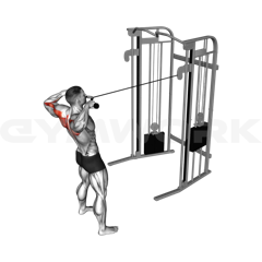 Cable Face Pull