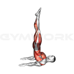 Jackknife