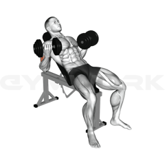 Incline Dumbbell Curl