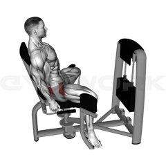 Hip Abduction (Out Thigh)