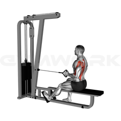 Cable Single-Arm Row