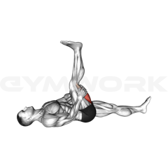 Hamstring Stretch