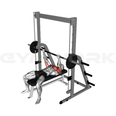 Smith Bench Press
