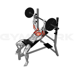 Incline Bench Press