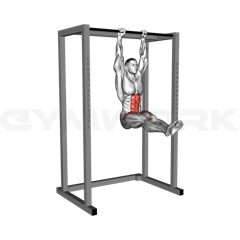 Hanging Leg Raise