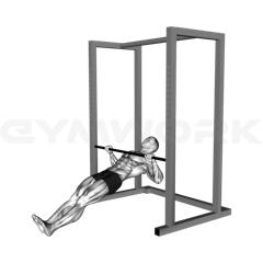 Inverted Row
