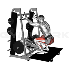 Belt Squat Machine