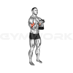 Dumbbell Waiter Curl