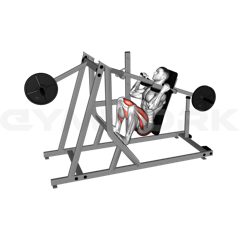 Pendulum Squat