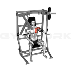 Single-Arm Chest Press