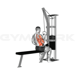 Single-Arm Lat Pulldown